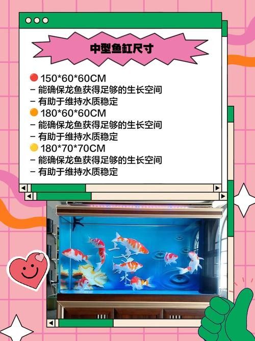 銀龍魚小缸可以養(yǎng)嗎圖片視頻