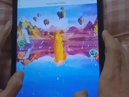 金龍魚過背和高背哪個(gè)好釣