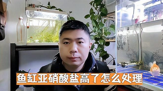 龍魚缸硝酸鹽高怎么辦