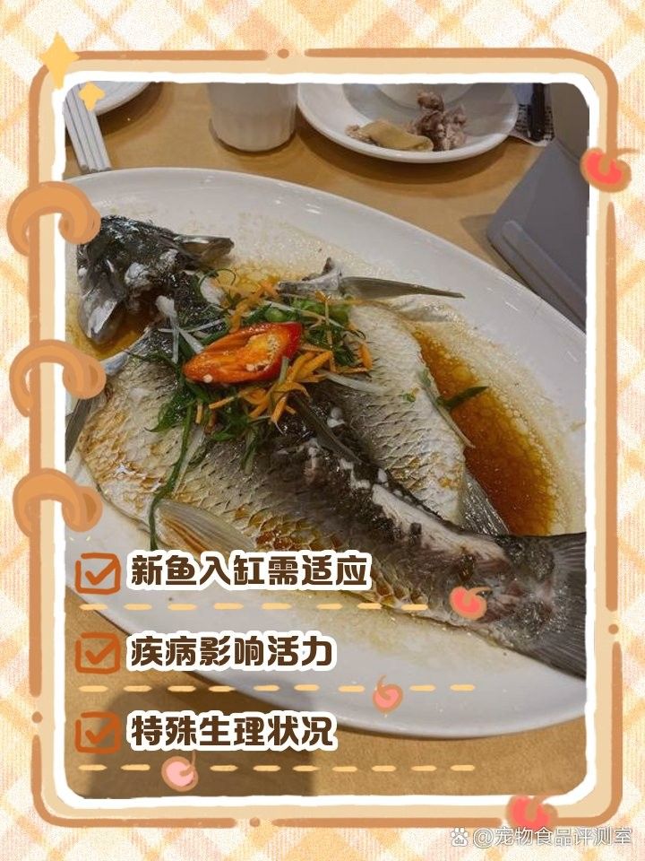 龍魚為何躲在角落里不動了呢