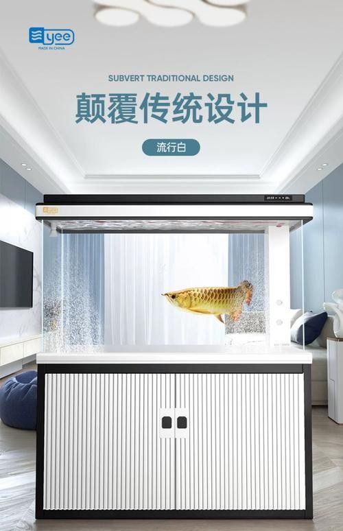 龍魚缸擺放位置圖解