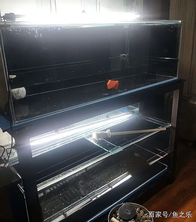 龍魚缸擺放位置圖解