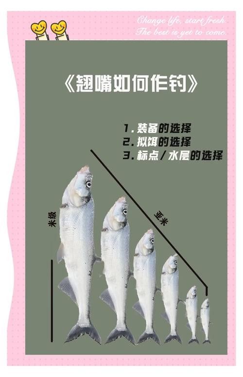 龍魚翹嘴好不好釣魚