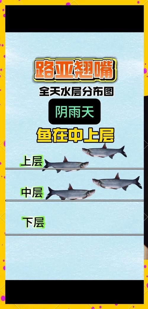 龍魚翹嘴好不好釣魚