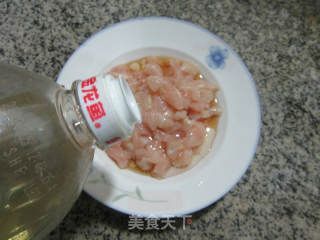 喂食龍魚雞胸肉是熟的嗎：喂食龍魚的雞胸肉是熟的嗎？