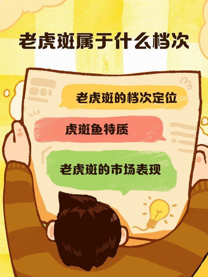 老虎斑屬于什么檔次