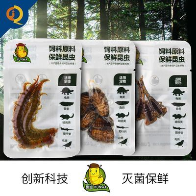 龍魚喂什么昆蟲吃飼料：喂食龍魚時，考慮到龍魚的營養需求和消化能力