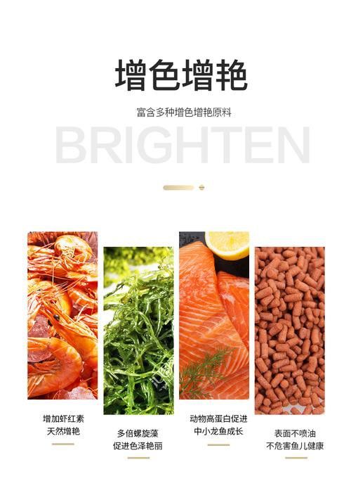 紅龍魚的最佳飼料有哪些？