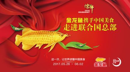 金龍魚熱門產品排行榜_金龍魚熱門產品價格信息：一千萬的金龍魚