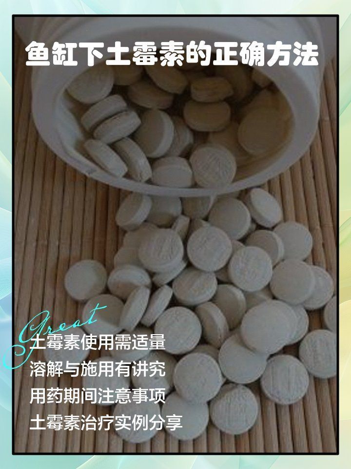 土霉素藥浴后需要換水嗎？