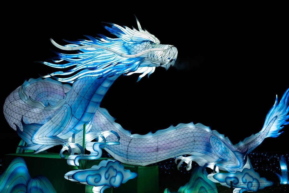 養(yǎng)龍魚用什么燈顏色好