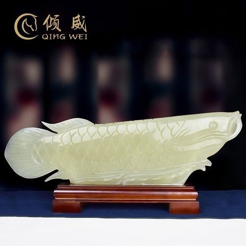 青金龍魚價(jià)格多少錢一條圖片 青金龍魚價(jià)格多少錢一條圖片 龍魚百科 第1張