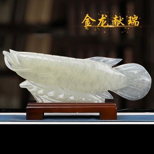 青金龍魚價(jià)格多少錢一條圖片 青金龍魚價(jià)格多少錢一條圖片 龍魚百科 第2張
