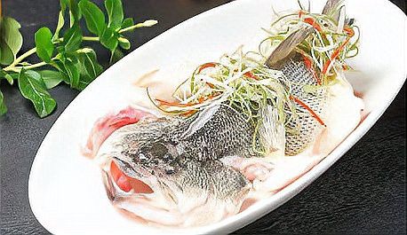 火龍魚是清道夫嗎還是海魚