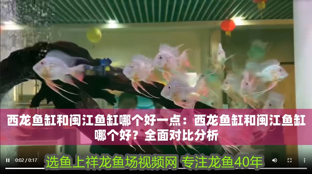 西龍魚缸和閩江魚缸哪個好一點：西龍魚缸和閩江魚缸哪個好？全面對比分析