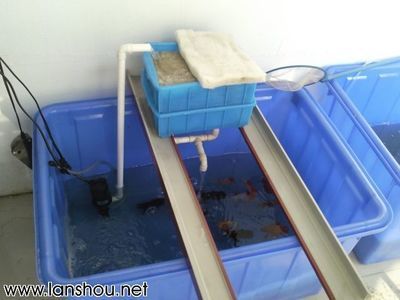 魚缸過濾系統的安裝（如何安裝魚缸過濾系統）