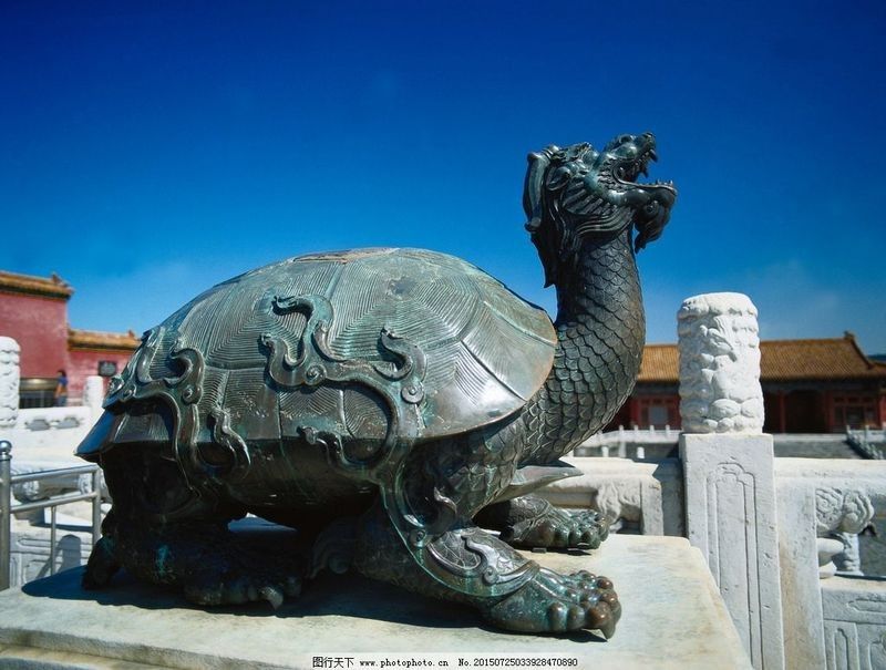 高清龍龜圖片可以商用嗎？