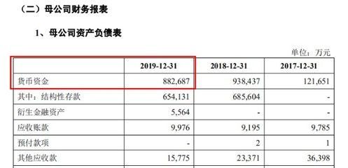 金龍魚資金，金龍魚資金使用情況及其對(duì)企業(yè)發(fā)展的影響及其對(duì)企業(yè)發(fā)展的影響