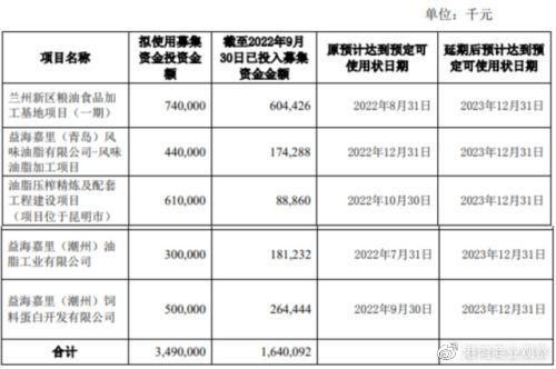 金龍魚資金，金龍魚資金使用情況及其對(duì)企業(yè)發(fā)展的影響及其對(duì)企業(yè)發(fā)展的影響
