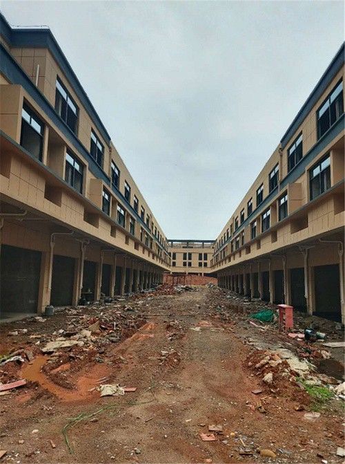 吉安龍魚苗批發市場在哪里