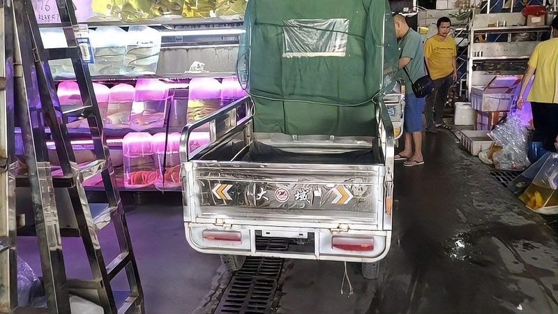 銀龍魚最便宜的多少錢