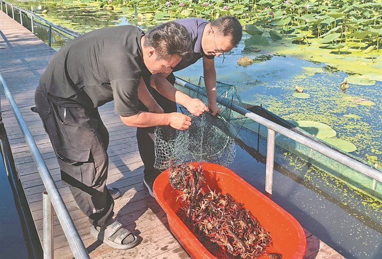 大興安嶺龍魚養殖基地在哪個鎮