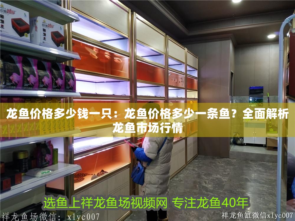 龍魚價格多少錢一只：龍魚價格多少一條魚？全面解析龍魚市場行情