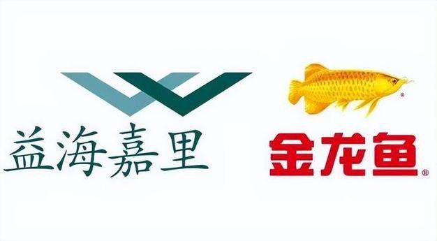 金龍魚標志設計