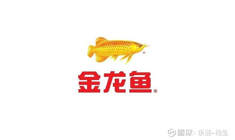 金龍魚標志設計