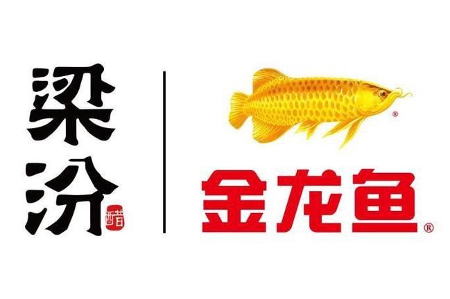 金龍魚標志設計