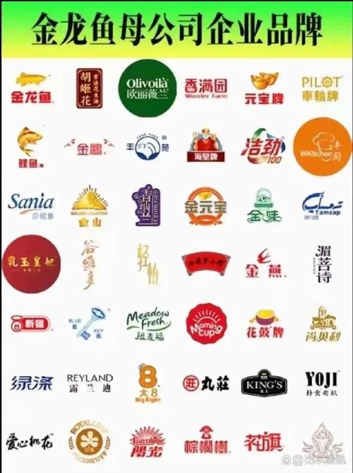 金龍魚標志設計