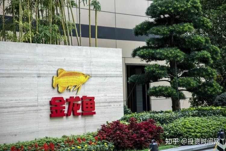 金龍魚標志設計