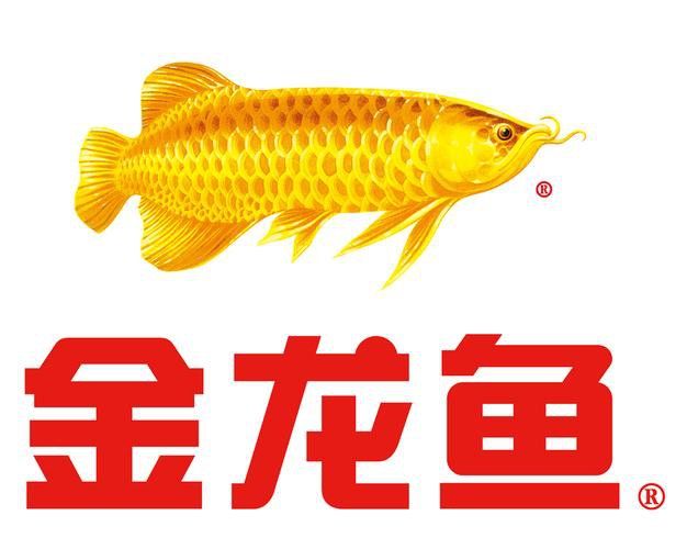 金龍魚標志設計