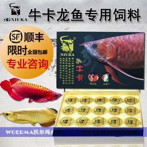 紅龍魚腸炎用什么藥：應激性腸炎：通常無需用藥，保證停食、控制水質，避免龍魚受驚