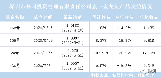 國(guó)畫金龍魚的畫法（國(guó)畫金龍魚的步驟和技巧）