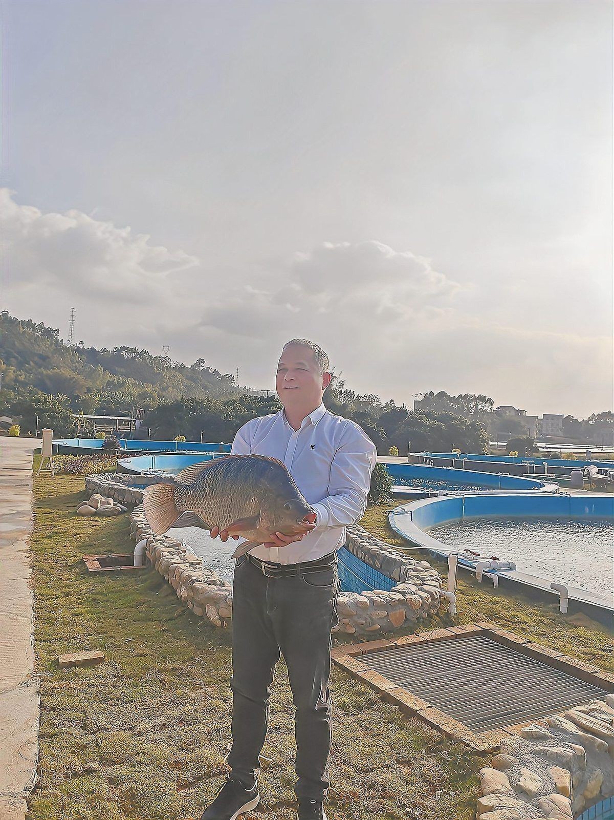 茂名化州產(chǎn)區(qū)的雷龍魚質(zhì)量如何