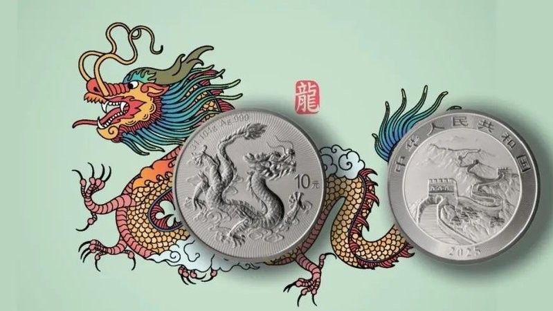 高背銀龍的市場需求如何？