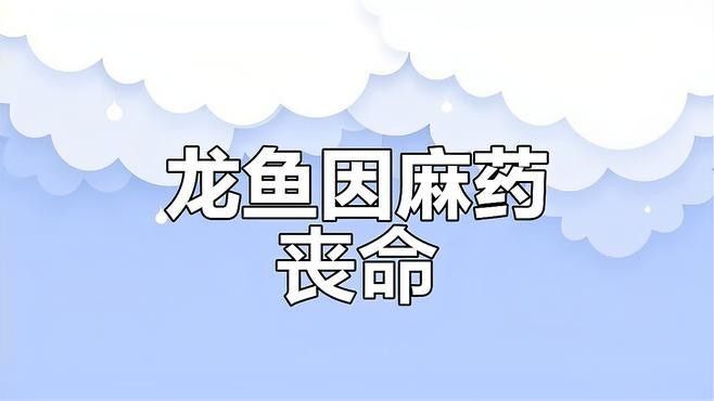 龍魚麻藥過量怎么辦？