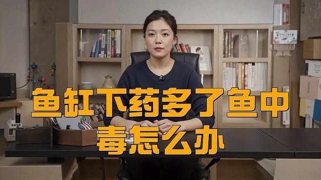 龍魚麻藥過量怎么辦？