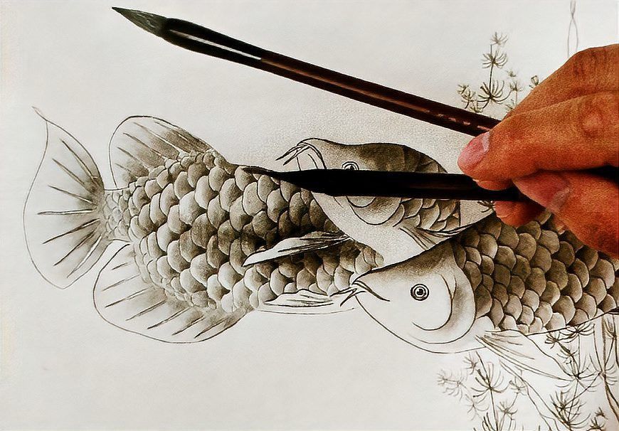 金龍魚怎么上色好看圖解