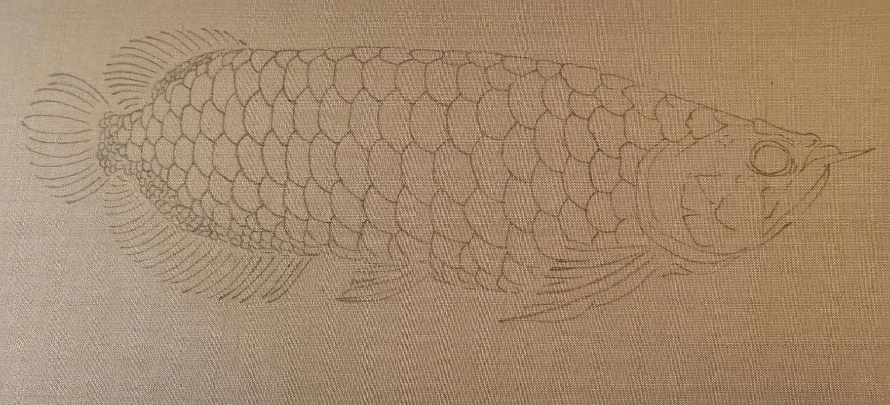金龍魚怎么上色好看圖解