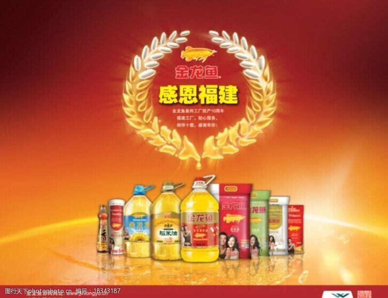 金龍魚福建經銷商有哪些店，福建金龍魚專賣店