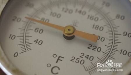 北京哪里有賣龍魚的地方啊電話（北京尋找賣龍魚的地方）