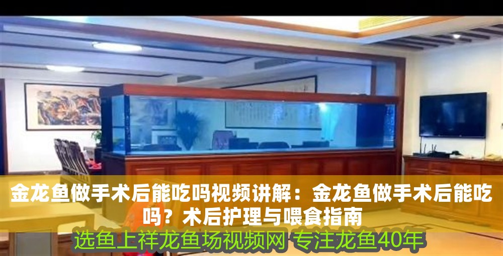金龍魚做手術后能吃嗎視頻講解：金龍魚做手術后能吃嗎？術后護理與喂食指南