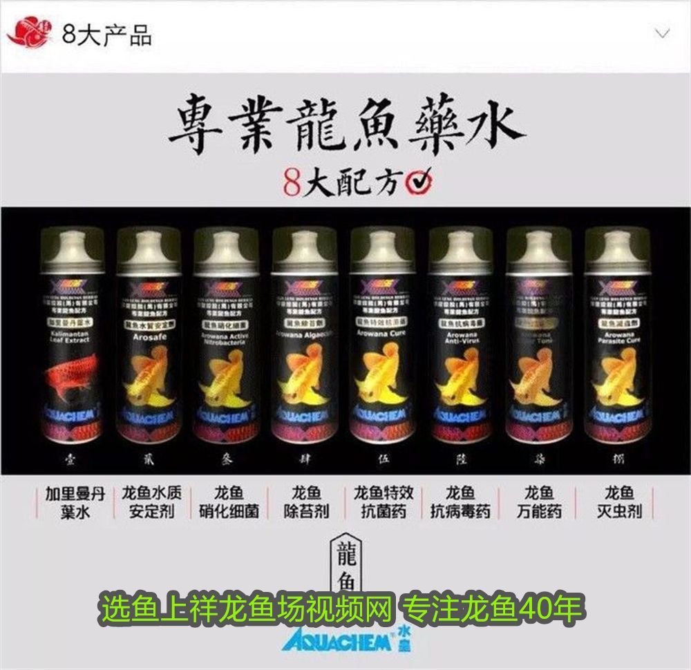 金龍魚做手術后能吃嗎視頻講解：金龍魚做手術后能吃嗎？術后護理與喂食指南