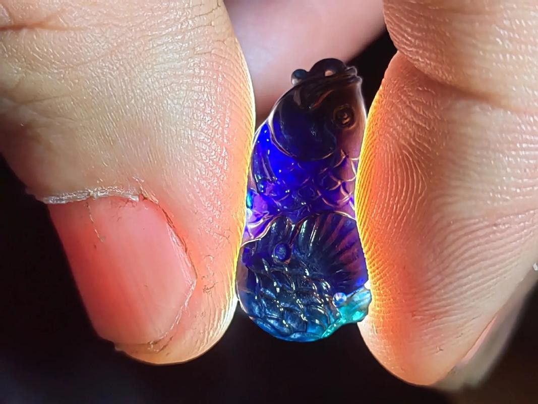 藍寶石金龍魚圖片高清