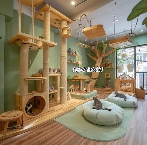 有哪些龍貓和貓成功共養的案例？