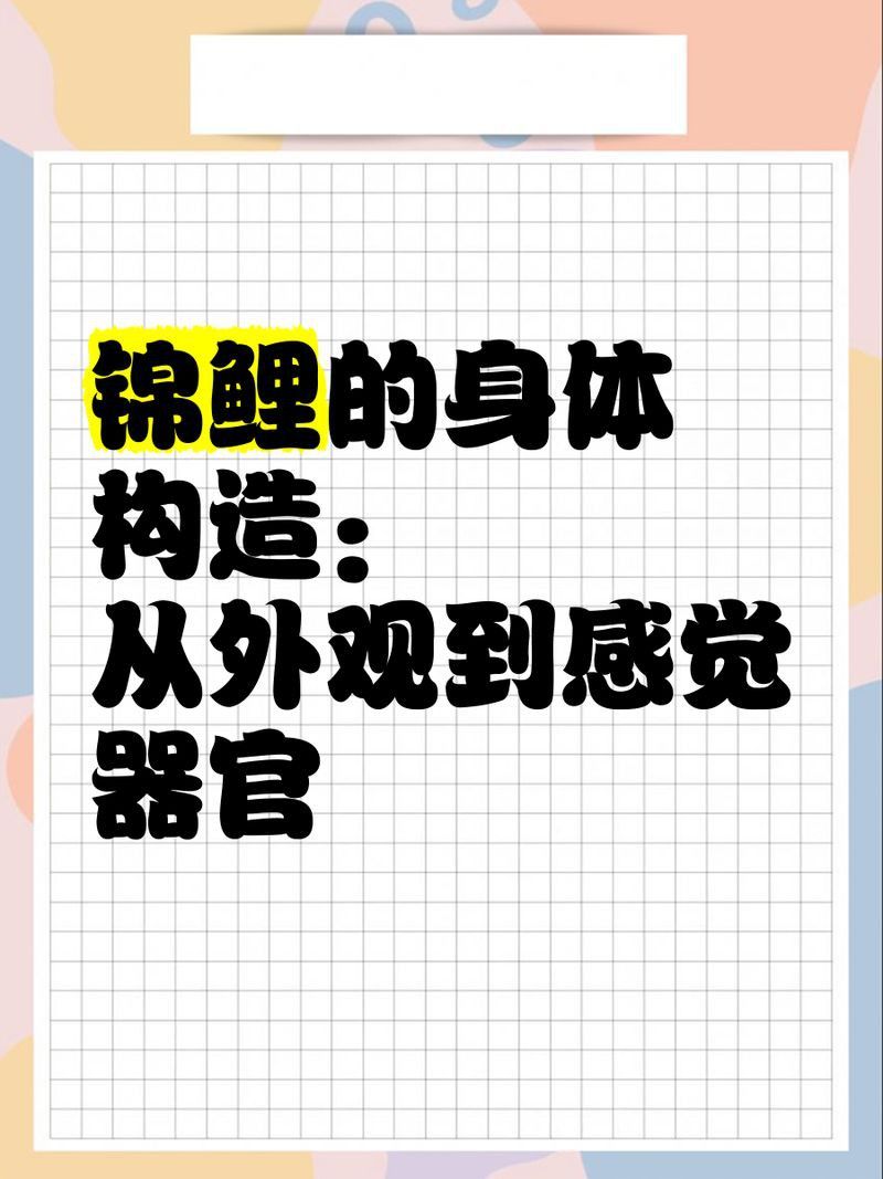 鯉魚有牙齒嗎會咬人嗎
