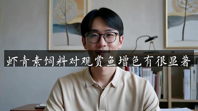 紅龍魚怎么樣發色好看圖片