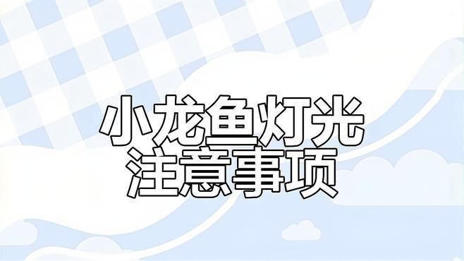 龍魚燈如何防掉眼